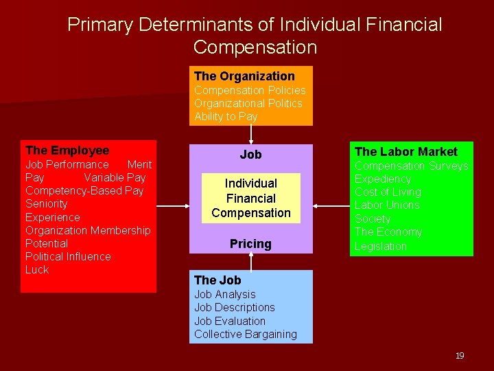 Primary Determinants of Individual Financial Compensation The Organization Compensation Policies Organizational Politics Ability to