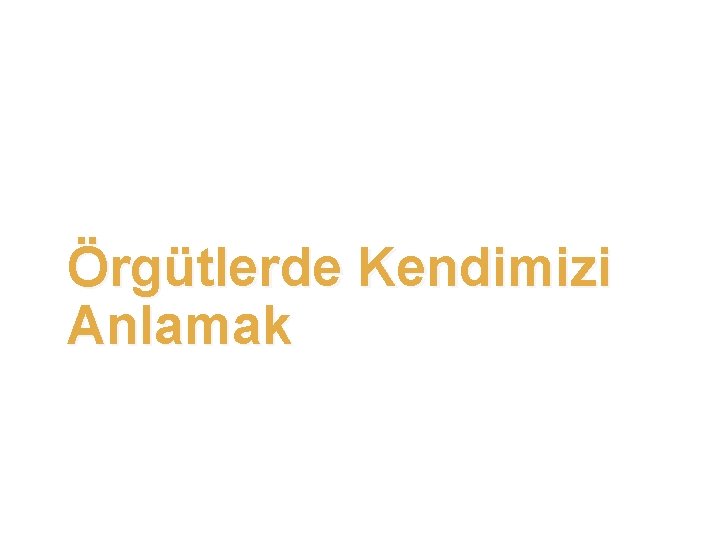 Örgütlerde Kendimizi Anlamak 