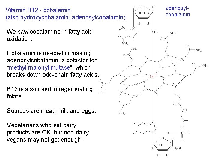 Vitamin B 12 - cobalamin. (also hydroxycobalamin, adenosylcobalamin). We saw cobalamine in fatty acid