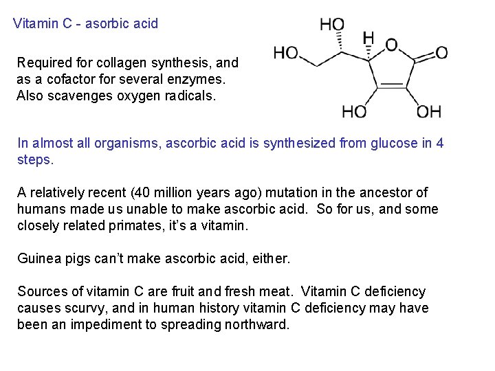 Vitamin C - asorbic acid Required for collagen synthesis, and as a cofactor for