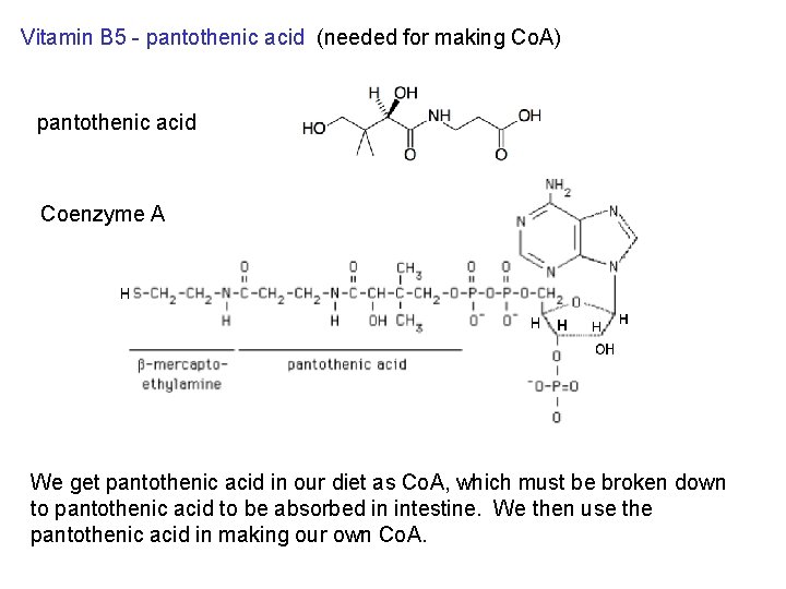 Vitamin B 5 - pantothenic acid (needed for making Co. A) pantothenic acid Coenzyme