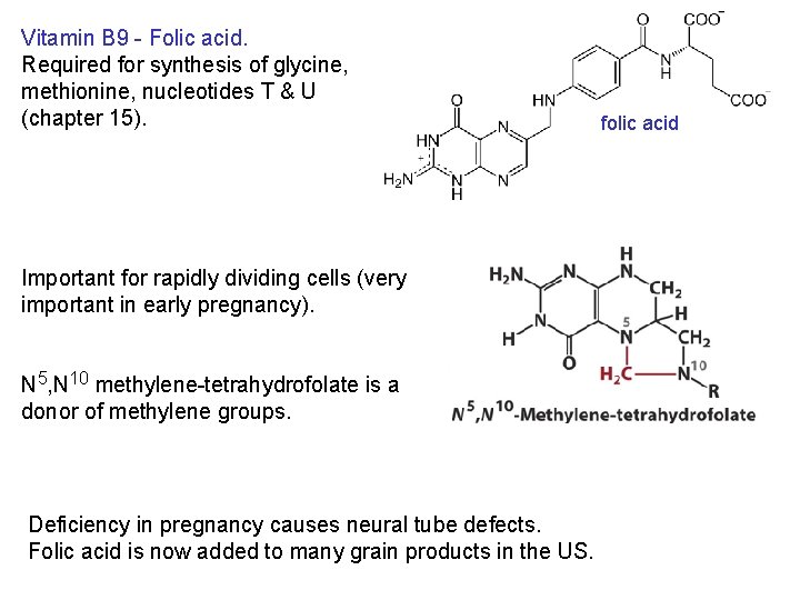 Vitamin B 9 - Folic acid. Required for synthesis of glycine, methionine, nucleotides T