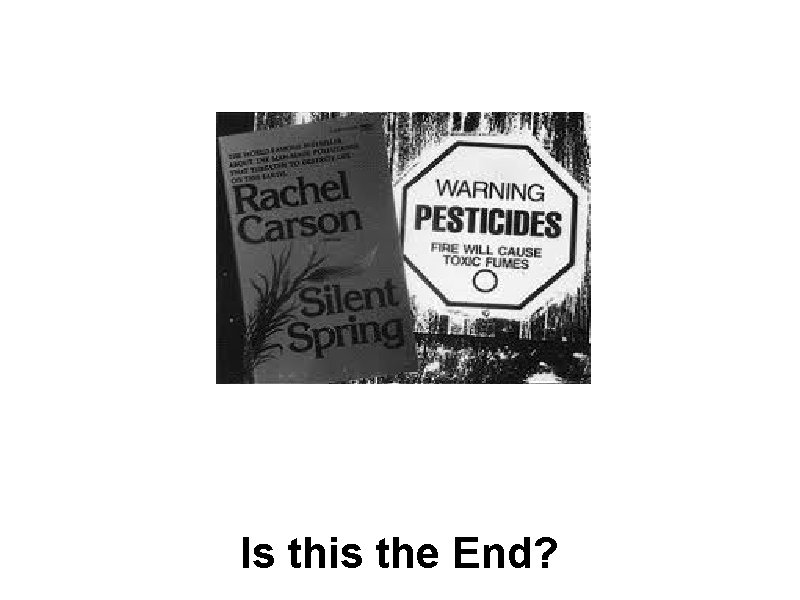 Is this the End? 
