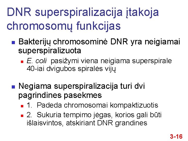 DNR superspiralizacija įtakoja chromosomų funkcijas n Bakterijų chromosominė DNR yra neigiamai superspiralizuota n n