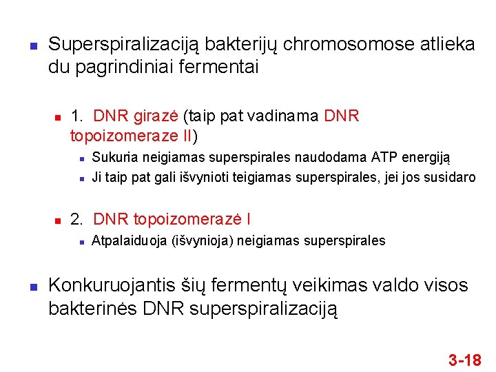n Superspiralizaciją bakterijų chromose atlieka du pagrindiniai fermentai n 1. DNR girazė (taip pat