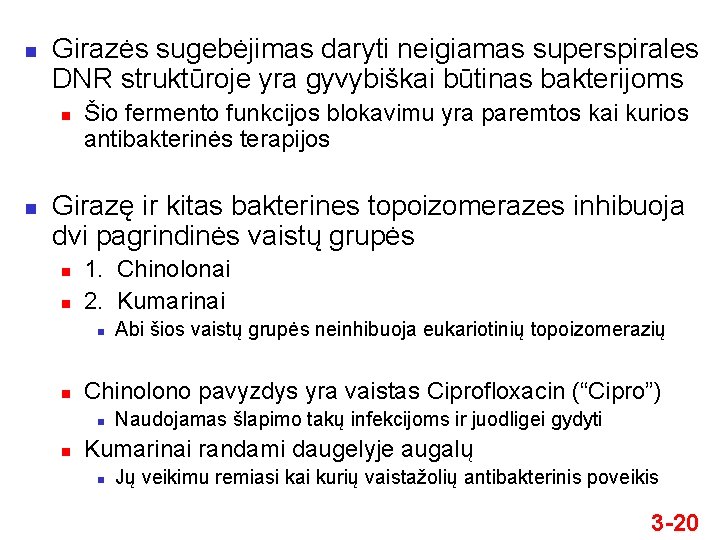 n Girazės sugebėjimas daryti neigiamas superspirales DNR struktūroje yra gyvybiškai būtinas bakterijoms n n