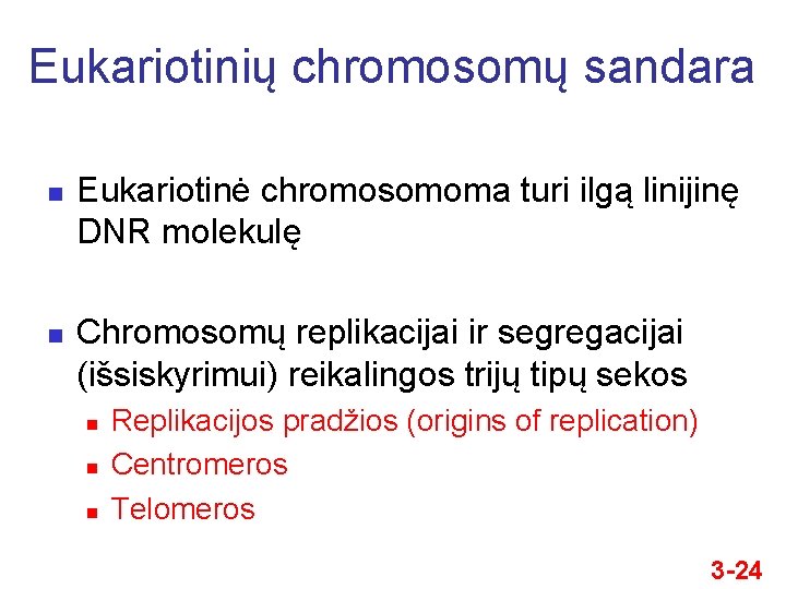 Eukariotinių chromosomų sandara n n Eukariotinė chromosomoma turi ilgą linijinę DNR molekulę Chromosomų replikacijai