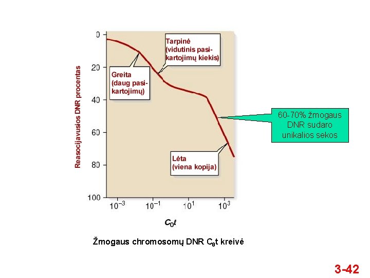 60 -70% žmogaus DNR sudaro unikalios sekos Žmogaus chromosomų DNR C 0 t kreivė