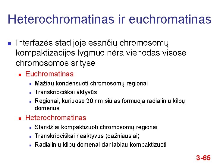 Heterochromatinas ir euchromatinas n Interfazės stadijoje esančių chromosomų kompaktizacijos lygmuo nėra vienodas visose chromos