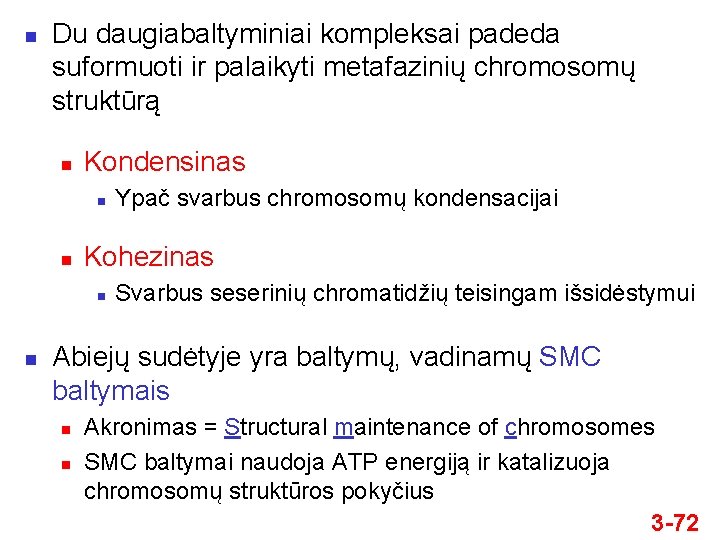 n Du daugiabaltyminiai kompleksai padeda suformuoti ir palaikyti metafazinių chromosomų struktūrą n Kondensinas n