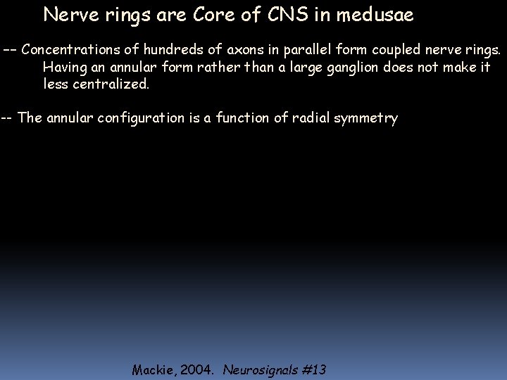Nerve rings are Core of CNS in medusae -- Concentrations of hundreds of axons Nerve rings are Core of CNS in medusae -- Concentrations of hundreds of axons