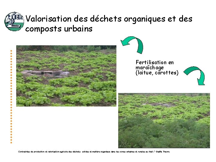 Valorisation des déchets organiques et des composts urbains Fertilisation en maraîchage (laitue, carottes) Contraintes