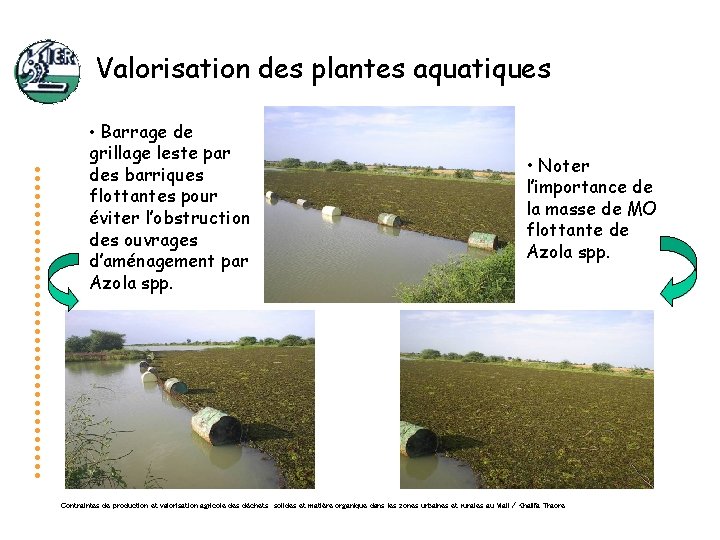 Valorisation des plantes aquatiques • Barrage de grillage leste par des barriques flottantes pour