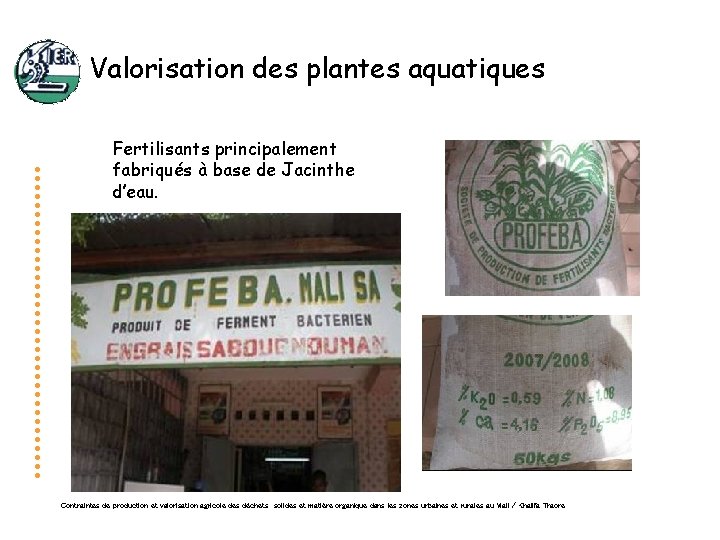 Valorisation des plantes aquatiques Fertilisants principalement fabriqués à base de Jacinthe d’eau. Contraintes de