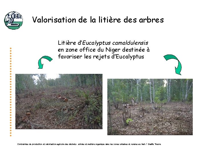 Valorisation de la litière des arbres Litière d’Eucalyptus camaldulensis en zone office du Niger