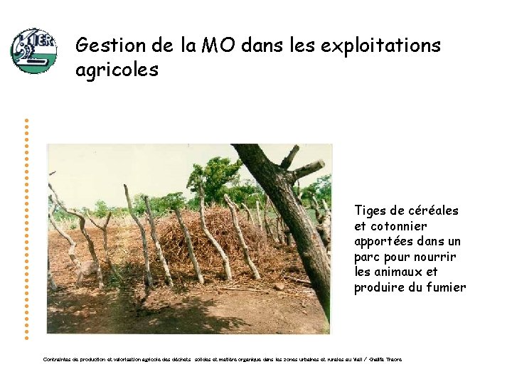 Gestion de la MO dans les exploitations agricoles Tiges de céréales et cotonnier apportées