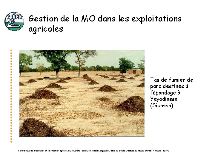 Gestion de la MO dans les exploitations agricoles Tas de fumier de parc destinés