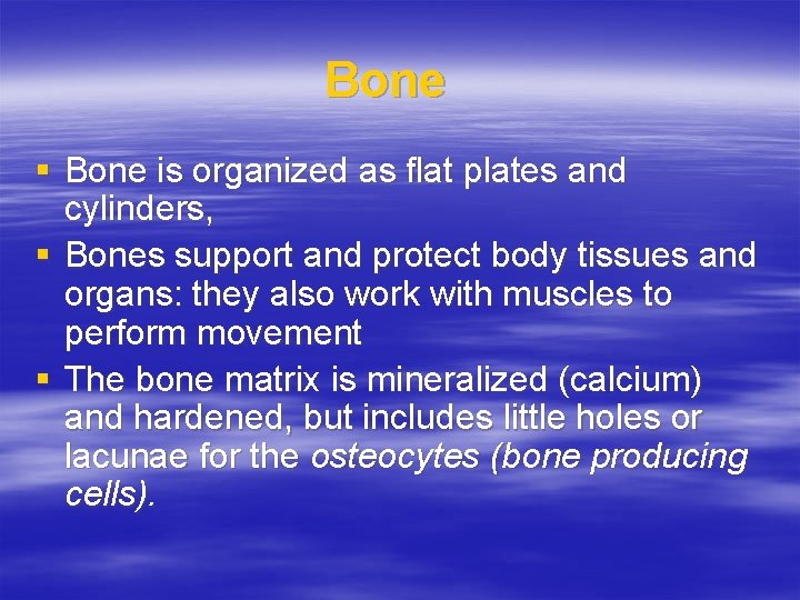 Bone § Bone is organized as flat plates and cylinders, § Bones support and