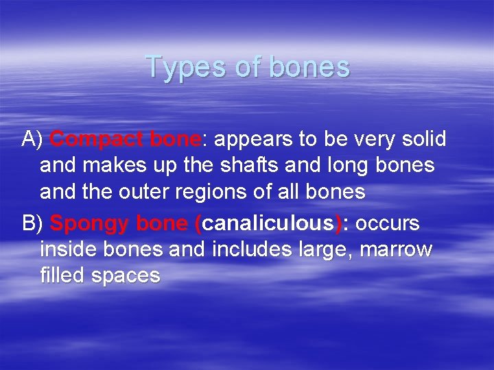 Types of bones A) Compact bone: appears to be very solid and makes up