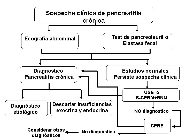 Sospecha clínica de pancreatitis crónica Ecografía abdominal Test de pancreolauril o Elastasa fecal Diagnostico