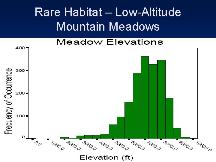 Rare Habitat – Low-Altitude Mountain Meadows 