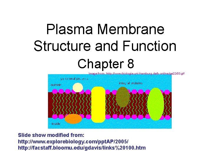 Plasma Membrane Structure and Function Chapter 8 Image from: http: //www. biologie. uni-hamburg. de/b-online/ge