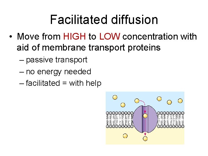 Facilitated diffusion • Move from HIGH to LOW concentration with aid of membrane transport