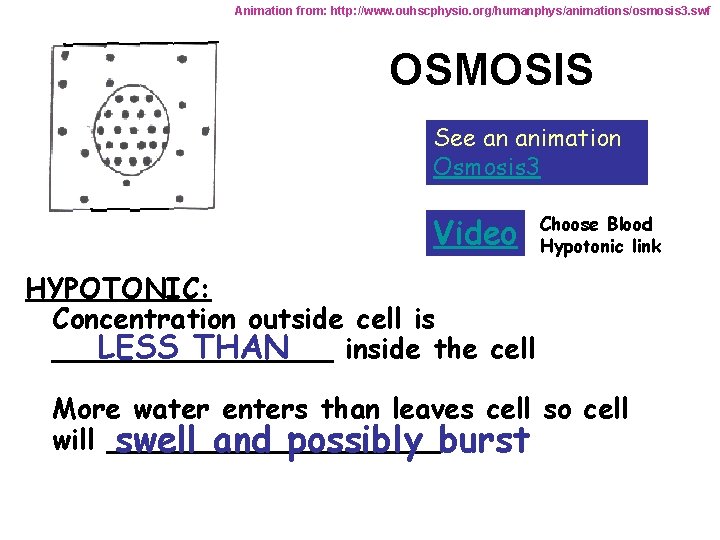 Animation from: http: //www. ouhscphysio. org/humanphys/animations/osmosis 3. swf OSMOSIS See an animation Osmosis 3