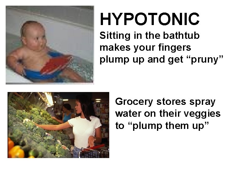 HYPOTONIC Sitting in the bathtub makes your fingers plump up and get “pruny” Grocery