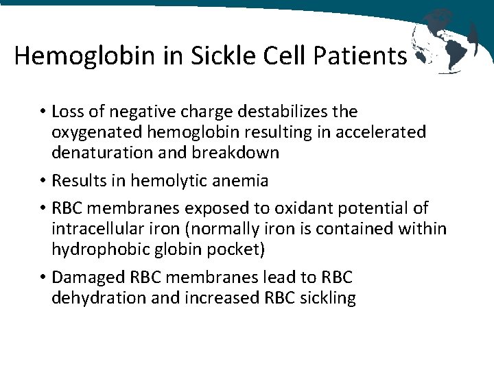 Hemoglobin in Sickle Cell Patients • Loss of negative charge destabilizes the oxygenated hemoglobin