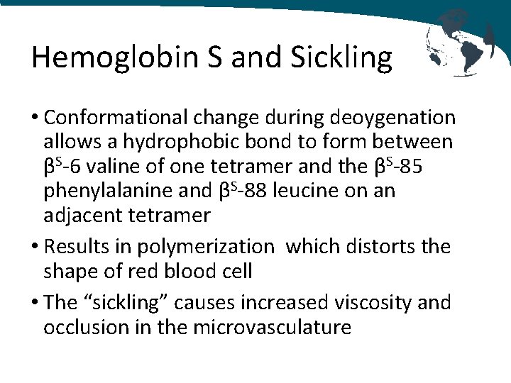 Hemoglobin S and Sickling • Conformational change during deoygenation allows a hydrophobic bond to