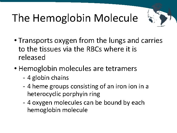 The Hemoglobin Molecule • Transports oxygen from the lungs and carries to the tissues