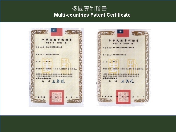多國專利證書 Multi-countries Patent Certificate 