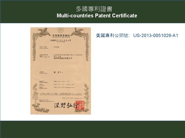 多國專利證書 Multi-countries Patent Certificate 美國專利公開號: US-2013 -0051028 -A 1 