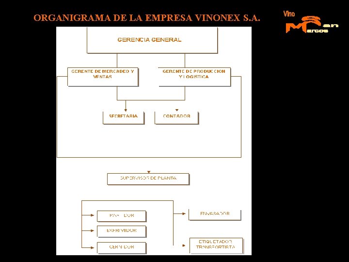 ORGANIGRAMA DE LA EMPRESA VINONEX S. A. 