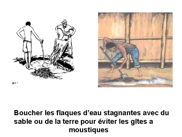 Boucher les flaques d’eau stagnantes avec du sable ou de la terre pour éviter