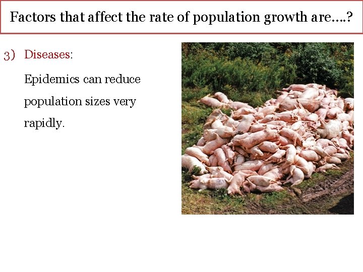Factors that affect the rate of population growth are…. ? 3) Diseases: Epidemics can