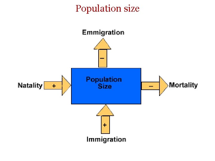 Population size 