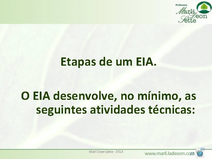 Etapas de um EIA. O EIA desenvolve, no mínimo, as seguintes atividades técnicas: Marli