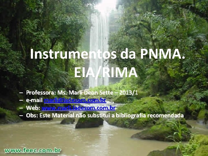 Instrumentos da PNMA. EIA/RIMA – – Professora: Ms. Marli Deon Sette – 2013/1 e-mail