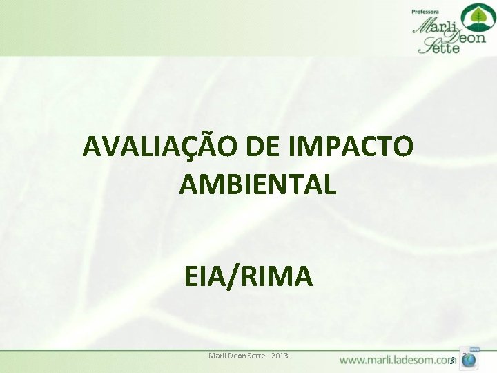 AVALIAÇÃO DE IMPACTO AMBIENTAL EIA/RIMA Marli Deon Sette - 2013 3 3 