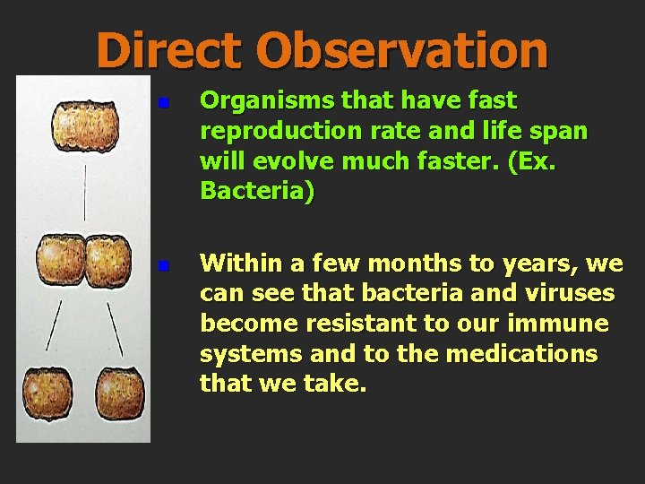 Direct Observation n n Organisms that have fast reproduction rate and life span will