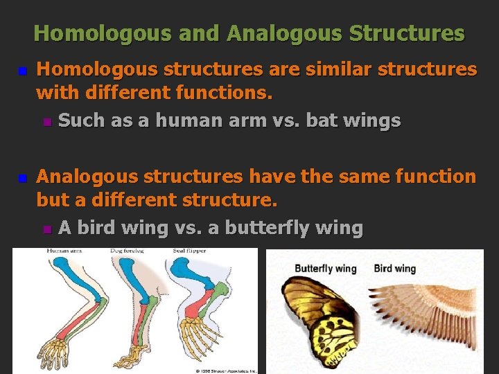 Homologous and Analogous Structures n n Homologous structures are similar structures with different functions.