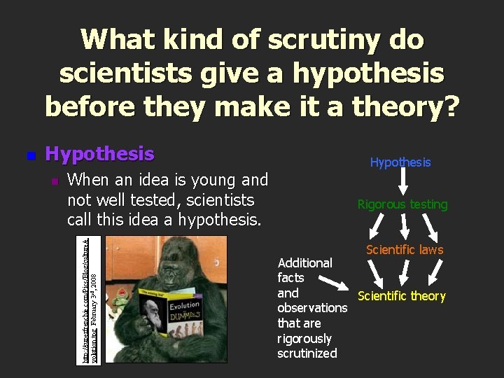 What kind of scrutiny do scientists give a hypothesis before they make it a