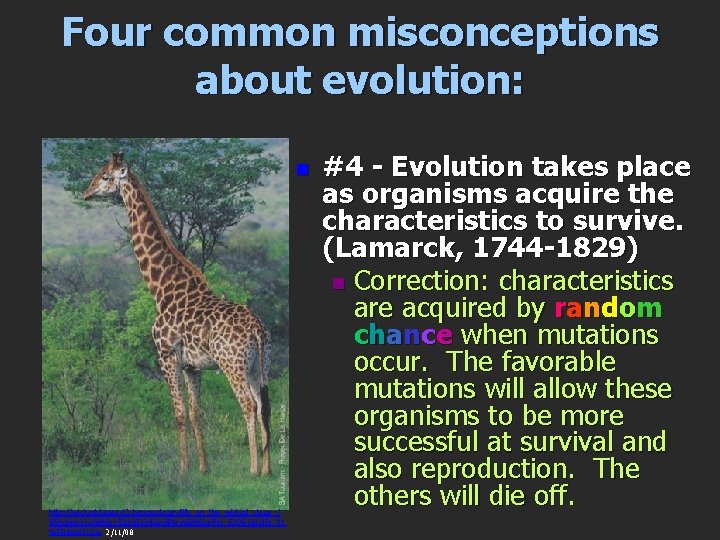 Four common misconceptions about evolution: n http: //wickedstageact 2. typepad. com/life_on_the_wicked_stage_/ Windows. Live. Writer/Dont.