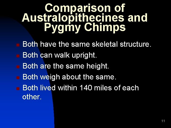 Comparison of Australopithecines and Pygmy Chimps n n n Both have the same skeletal Comparison of Australopithecines and Pygmy Chimps n n n Both have the same skeletal
