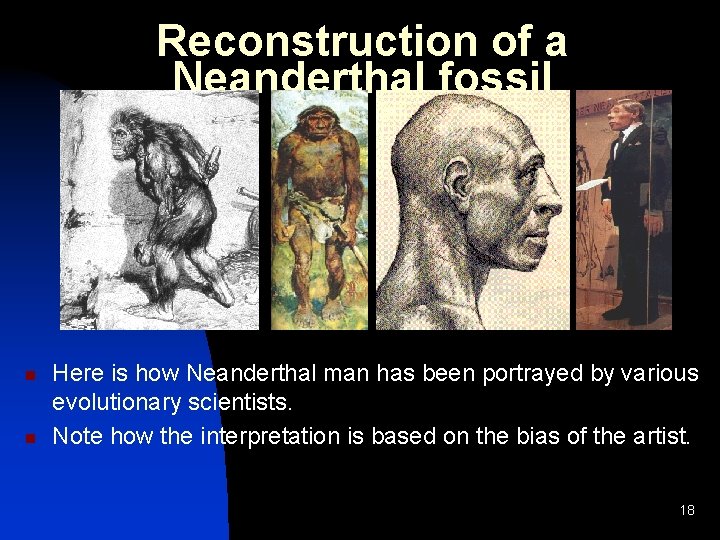 Reconstruction of a Neanderthal fossil n n Here is how Neanderthal man has been Reconstruction of a Neanderthal fossil n n Here is how Neanderthal man has been