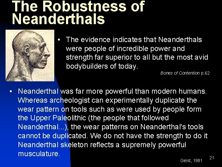 The Robustness of Neanderthals • The evidence indicates that Neanderthals were people of incredible The Robustness of Neanderthals • The evidence indicates that Neanderthals were people of incredible