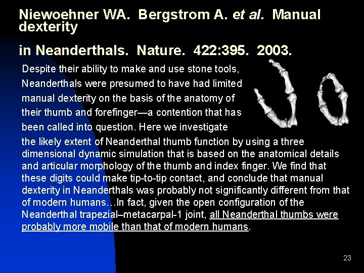 Niewoehner WA. Bergstrom A. et al. Manual dexterity in Neanderthals. Nature. 422: 395. 2003. Niewoehner WA. Bergstrom A. et al. Manual dexterity in Neanderthals. Nature. 422: 395. 2003.