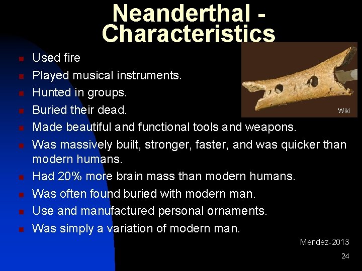Neanderthal Characteristics n n n n n Used fire Played musical instruments. Hunted in Neanderthal Characteristics n n n n n Used fire Played musical instruments. Hunted in